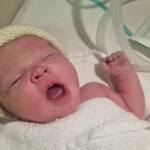 Karen Deery Profile Picture