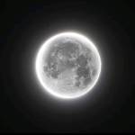 Zu_Moss profile picture