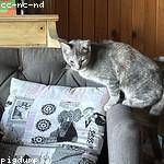 Teagan Bashirian Profile Picture