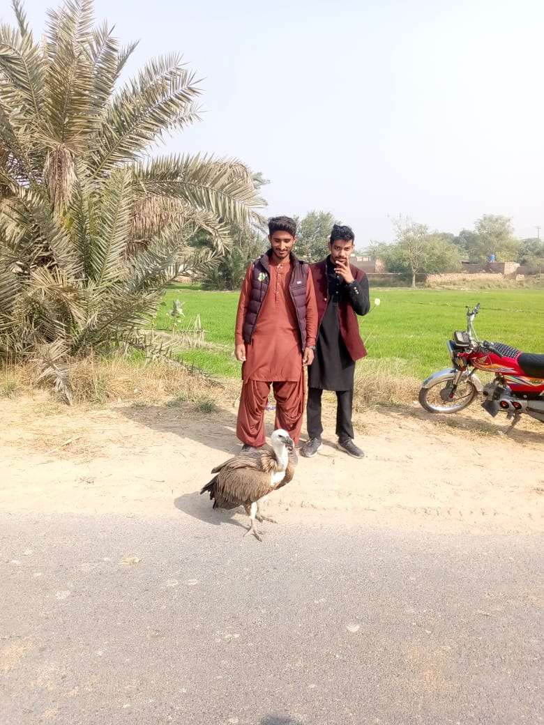 Hassan Hassan Hassan Profile Picture