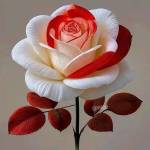 Mehboob Ali Baloch profile picture