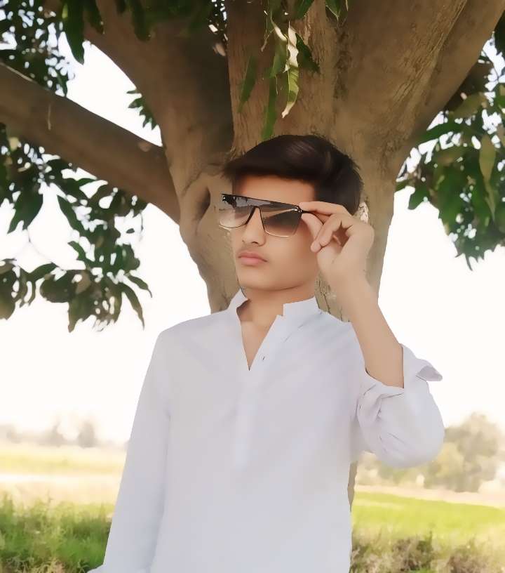 Ali raza Profile Picture