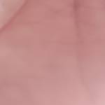 Robina Akhter profile picture