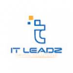 it leadz Profile Picture