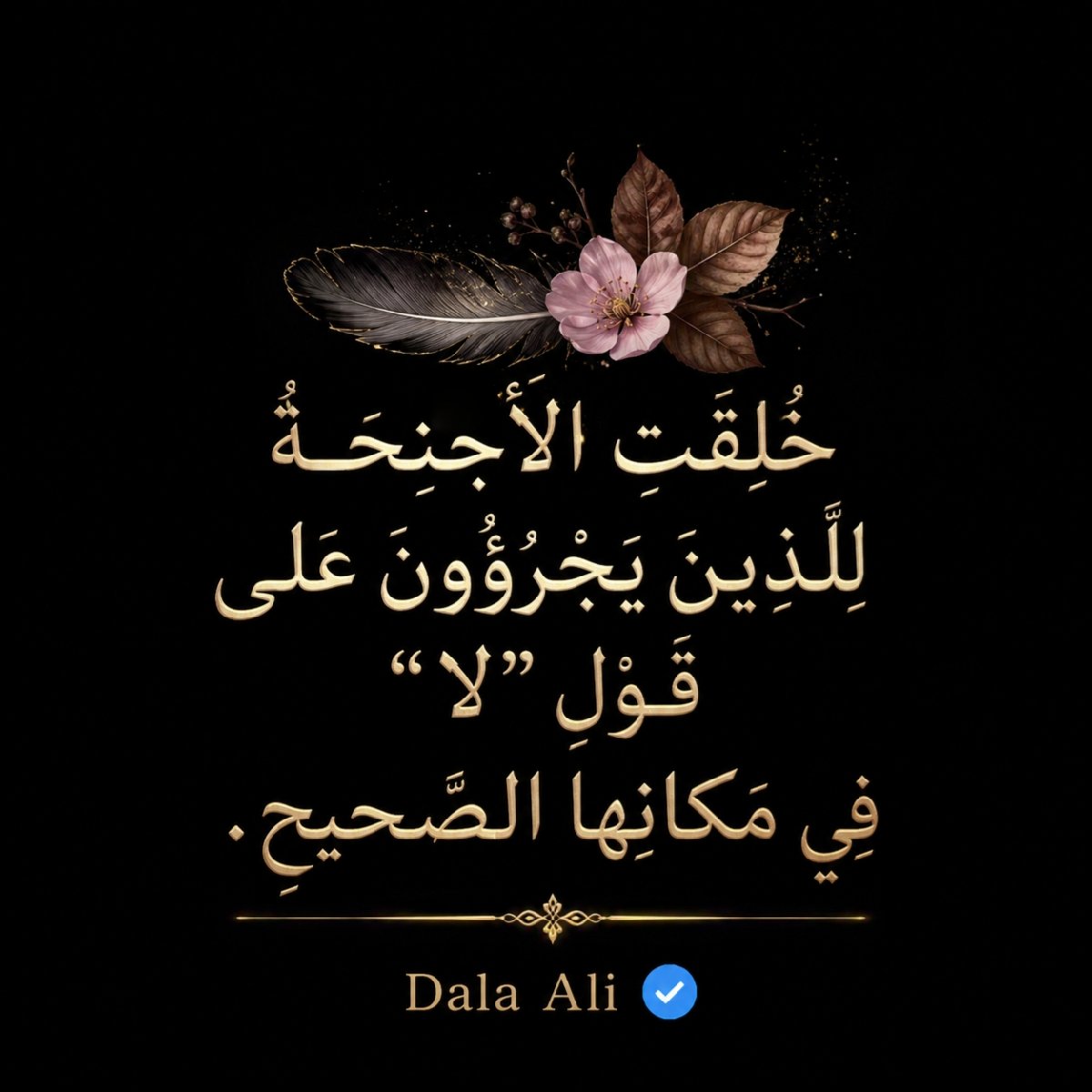 Dala Ali Cover Image