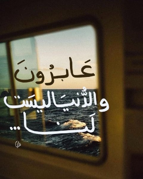 طيبة. Profile Picture