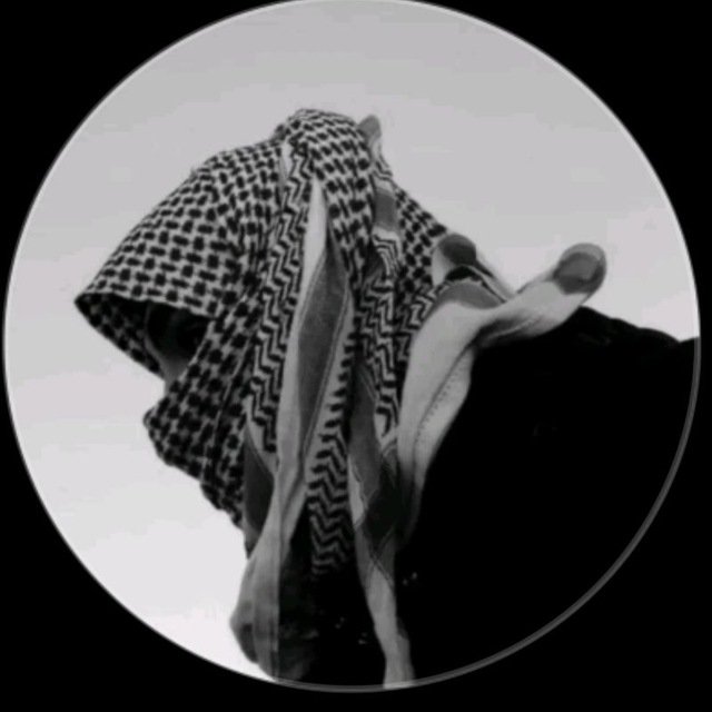 Tindouf 37 Cover Image