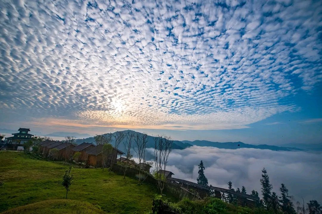ihssan mahla Cover Image