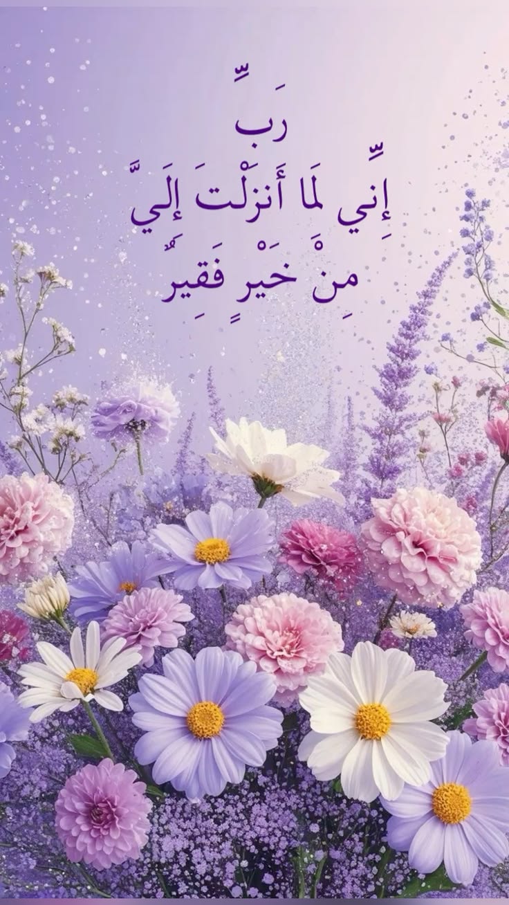 luna omar Cover Image